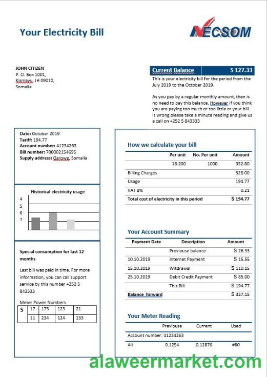 Somalia NESCOM electricity bill in Word format